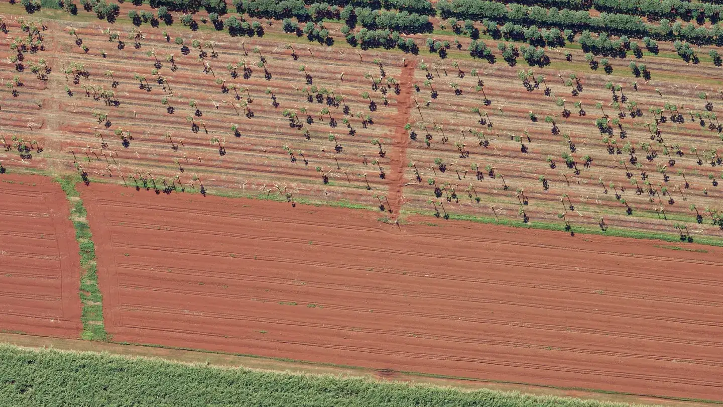 Ortho farm