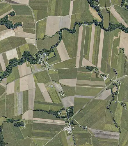PD Low Res Farm Ortho