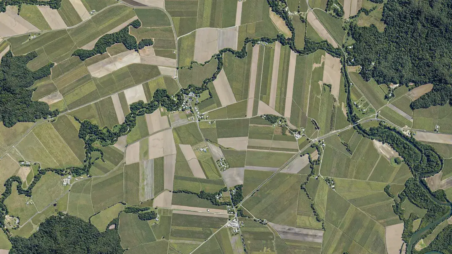 PD Low Res Farm Ortho
