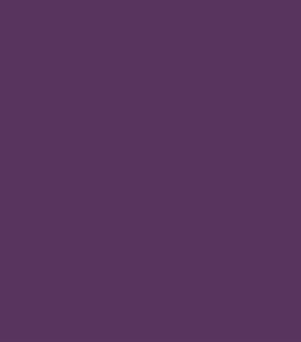 Point Cloud Purple