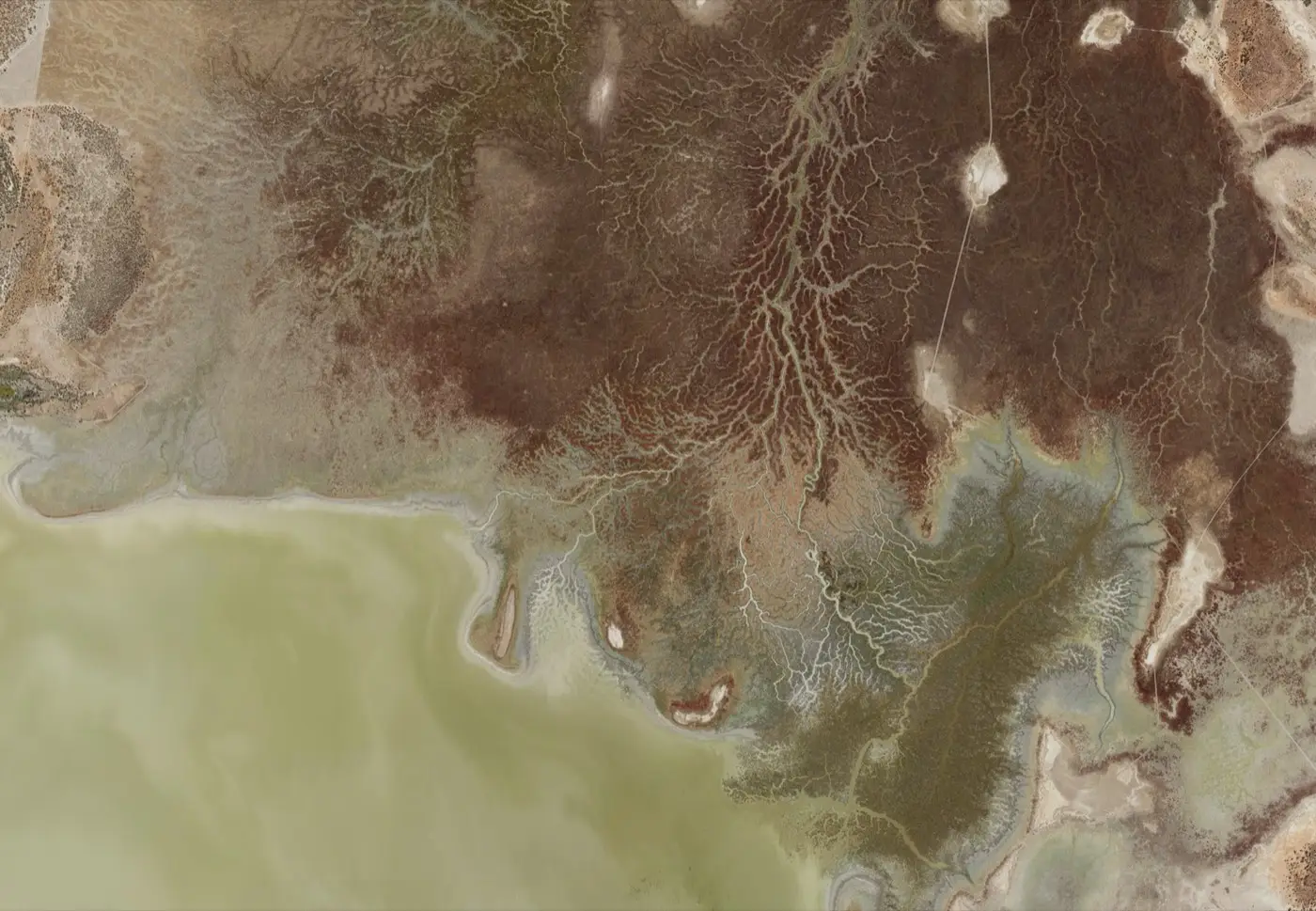 True colour (RGB) orthophoto of the Narran aerial survey area