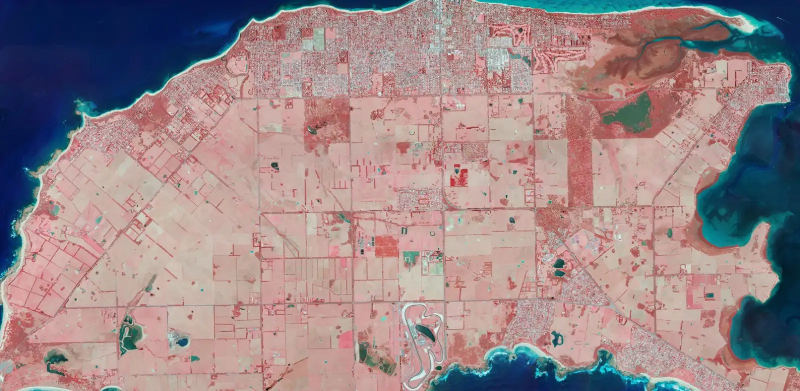Colour infrared Victorian government aerial imagery of Phillip Island